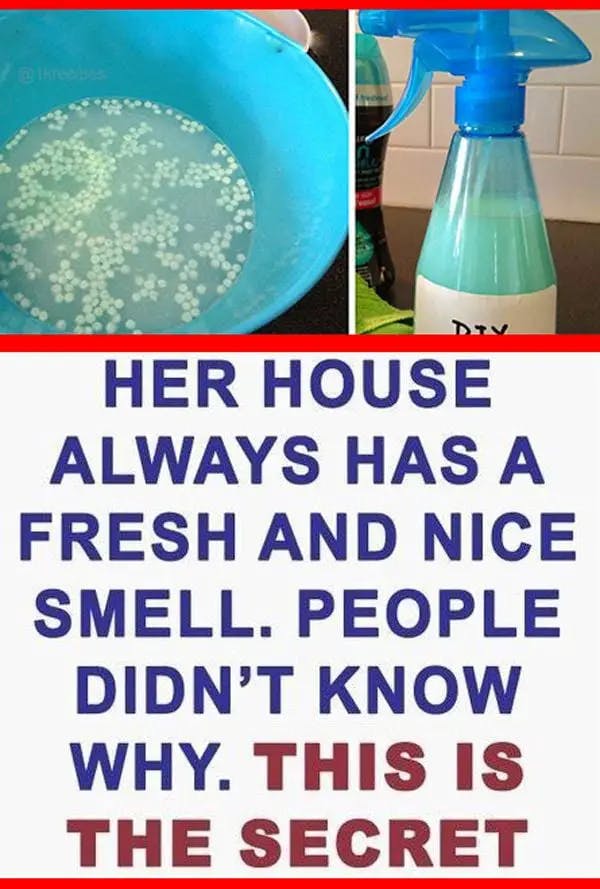 Titelbild für Friends Raved About How Amazing Her Home Smelled