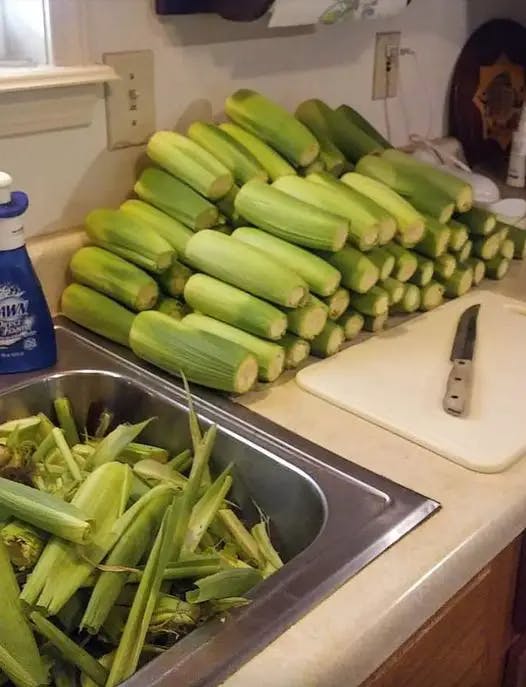 Titelbild für How To Properly Freeze Corn On The Cob