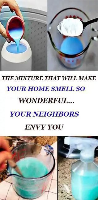Titelbild für THE MIXTURE THAT WILL MAKE YOUR HOME SMELL SO WONDERFUL… YOUR NEIGHBORS WILL ENVY YOU