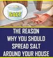 Titelbild für Sprinkle the whole house with salt, that’s why it’s so amazing