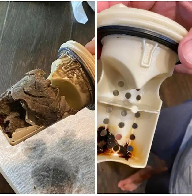 Titelbild für Why your clean laundry may not smell as good as it should