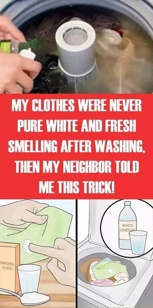 Titelbild für My clothes were not only pure white and smelling fresh after washing, then my neighbor told me this trick!