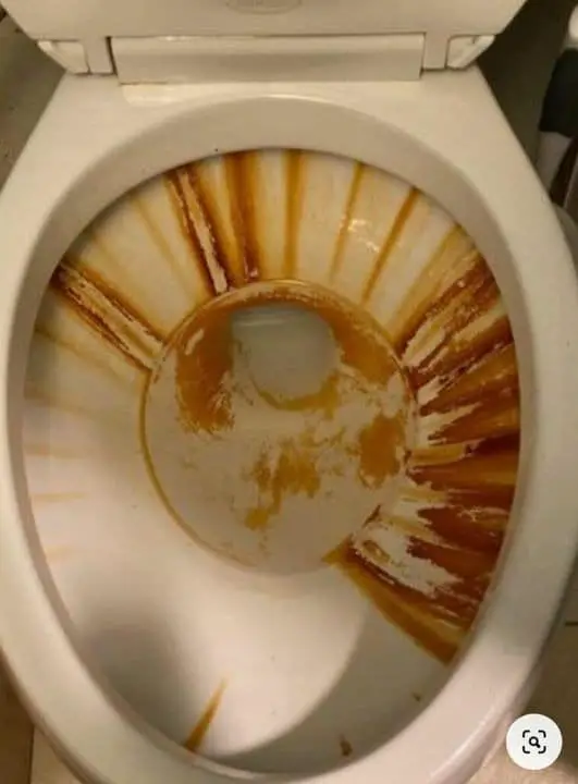 Titelbild für HOW TO REMOVE HARD WATER STAINS IN A TOILET NATURALLY