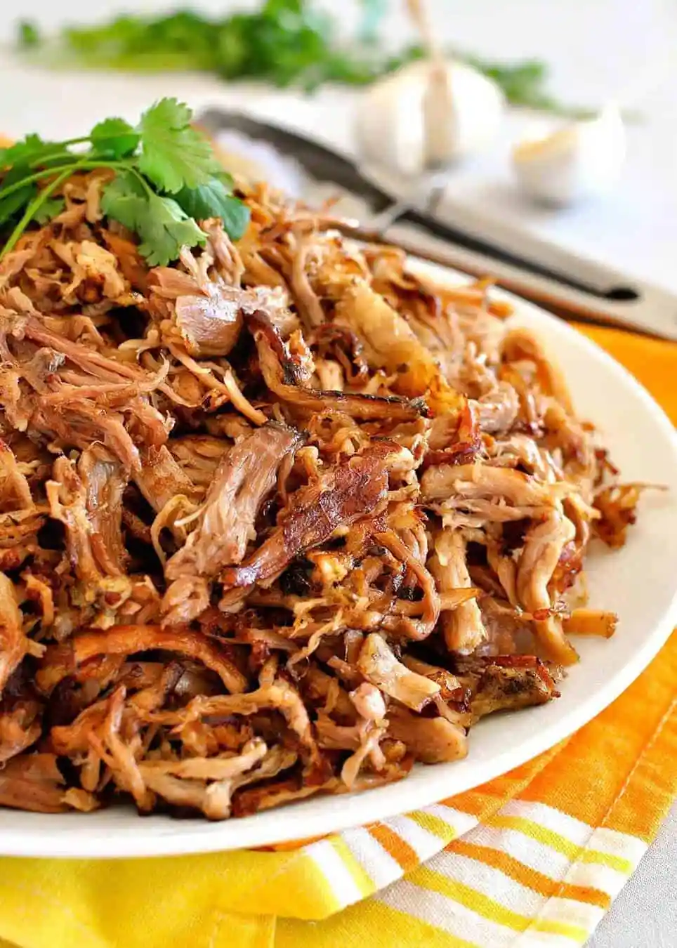 Titelbild für Crispy Pork Carnitas